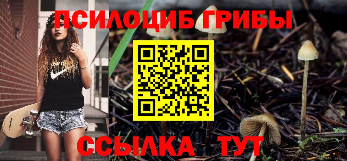 Псилоцибиновые грибы Psilocybe  что такое наркотик  Галлюциногенные грибы прущие грибы  Ликино-Дулёво  Вход с VPN 